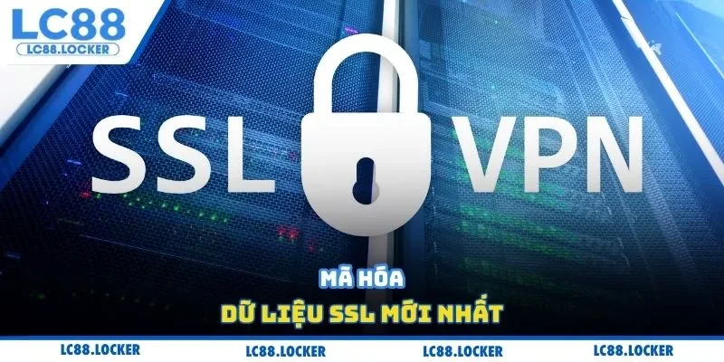 Mã hóa dữ liệu SSL mới nhất