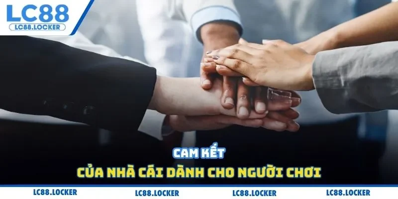 Cam kết của nhà cái dành cho người chơi