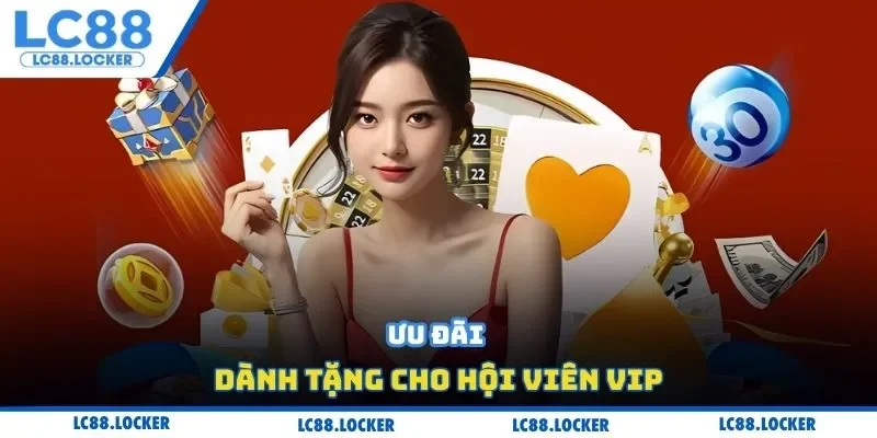 Ưu đãi dành tặng cho hội viên VIP